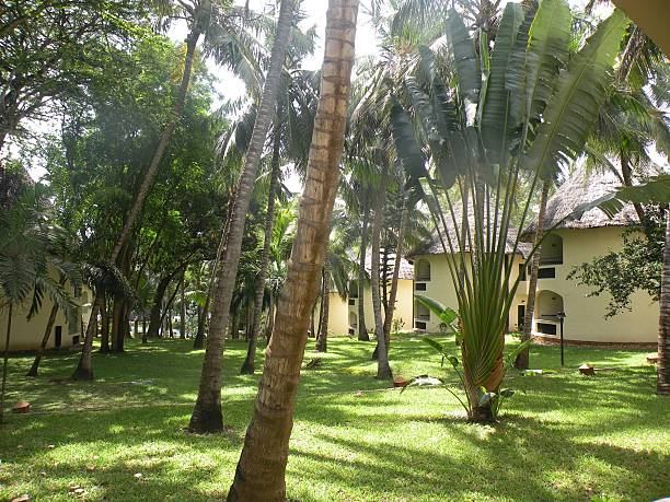 Outdoor renovation